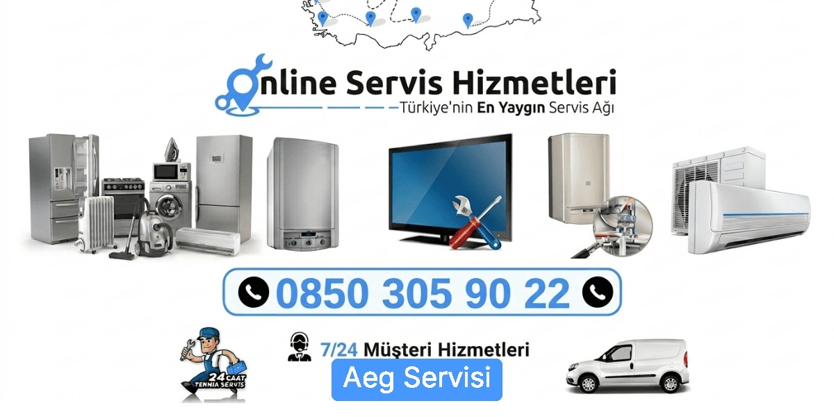 Aeg Servisi