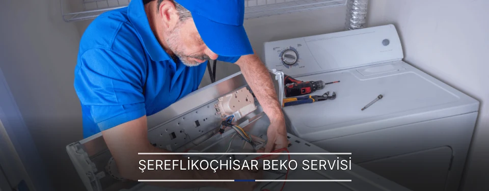 Şereflikoçhisar Beko Servisi