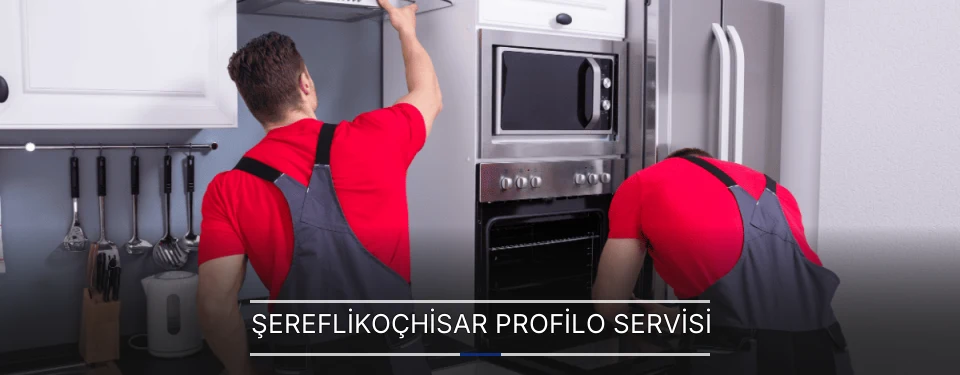 Şereflikoçhisar Profilo Servisi