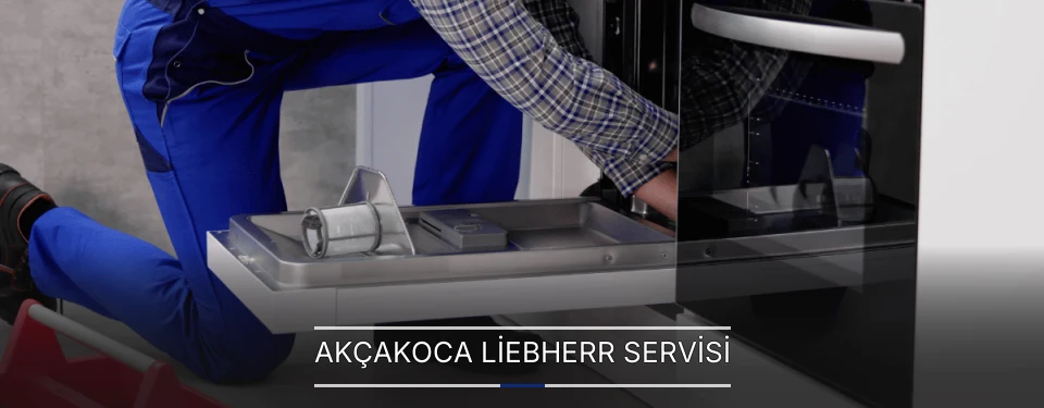 Akçakoca Liebherr Servisi