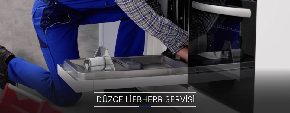 Düzce Liebherr Servisi