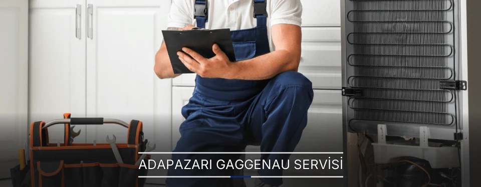 Adapazarı Gaggenau Servisi